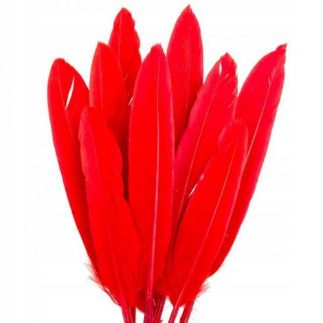 Piórka lotki Czakos 15cm, Czerwone
